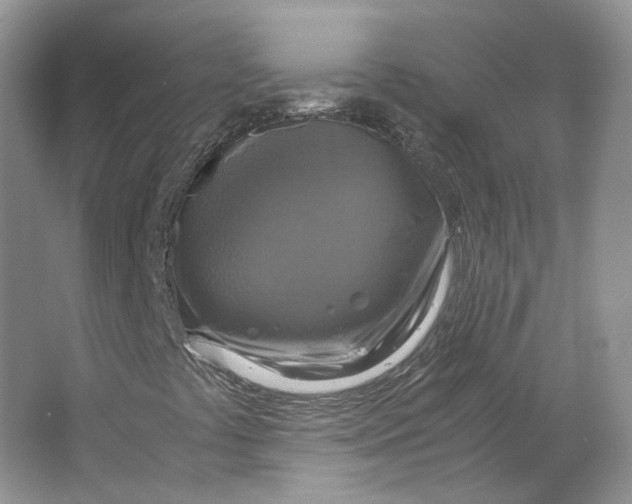 X0000063461441200602101702