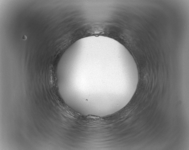 X0000063461442200602101702