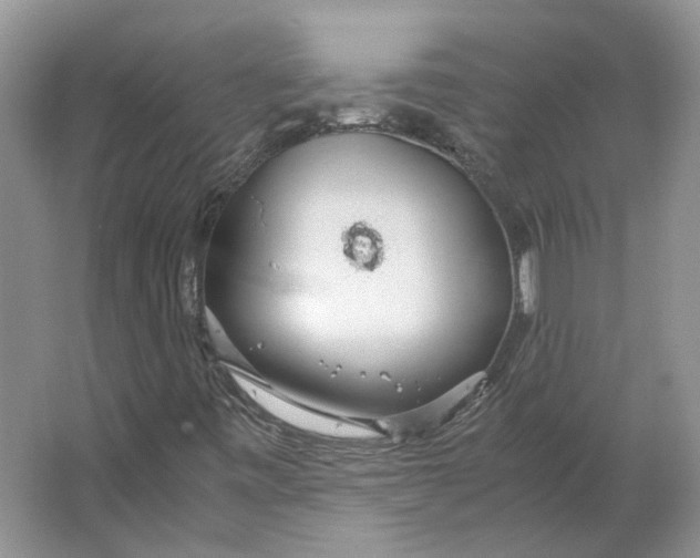 X0000063461443200602101702