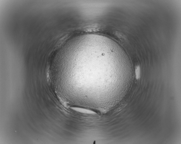 X0000063461444200602101702