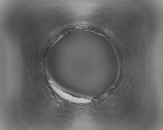 X0000063461445200602101702