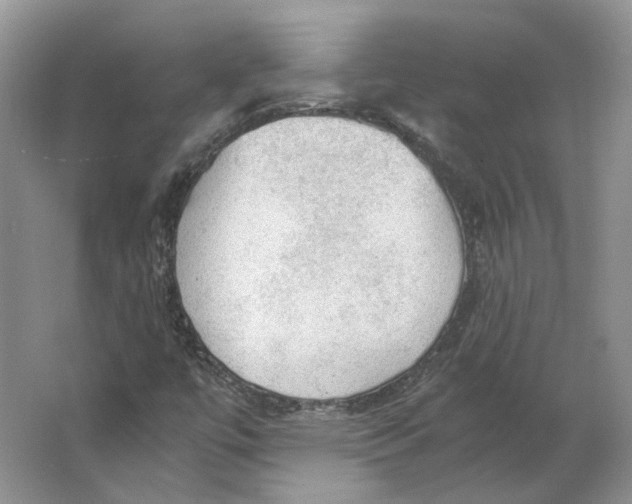 X0000063461447200602101702