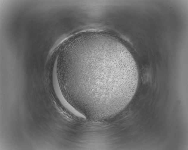 X0000063461448200602101702