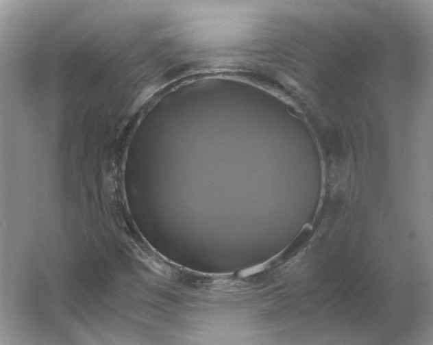 X0000063461449200602101702