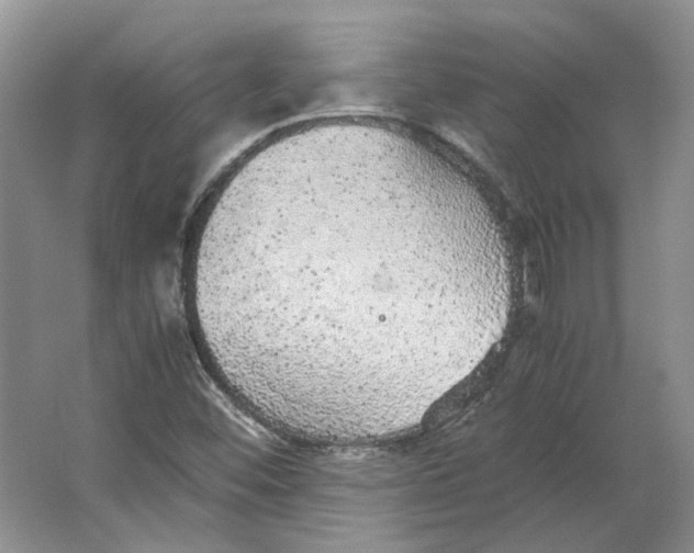 X0000063461452200602101702