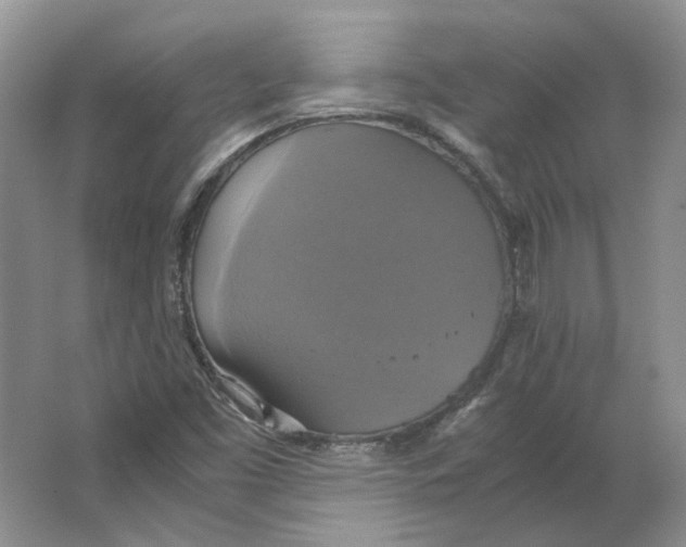 X0000063461453200602101702