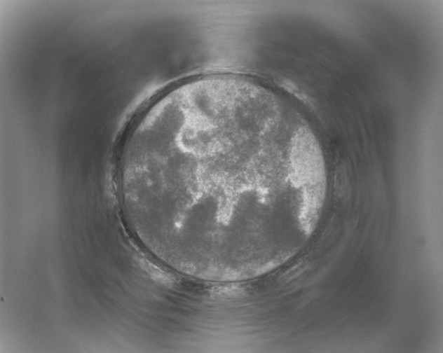 X0000063461454200602101702