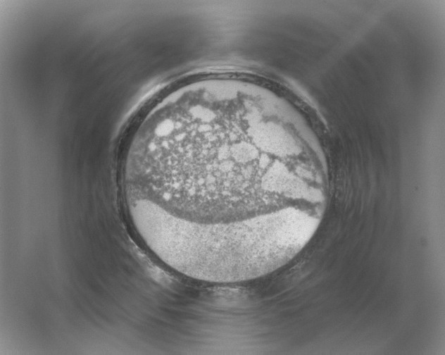 X0000063461456200602101702