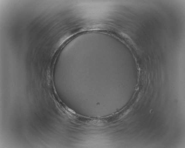 X0000063461457200602101702