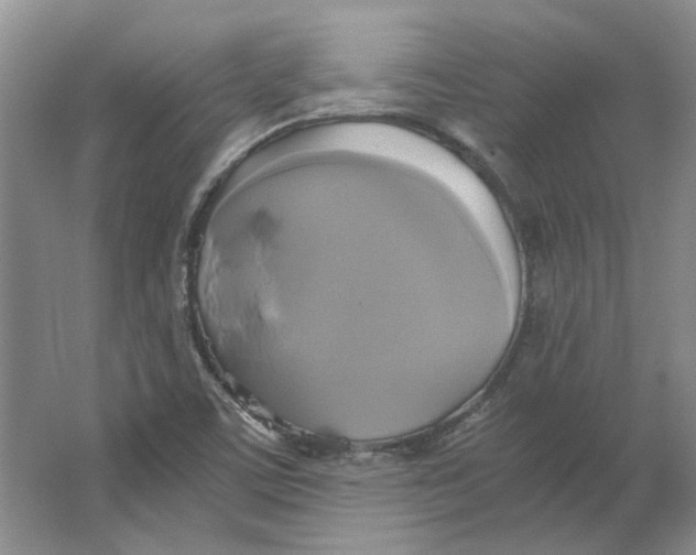 X0000063461459200602101702