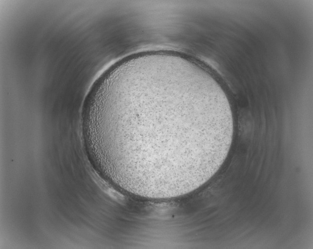 X0000063461460200602101702