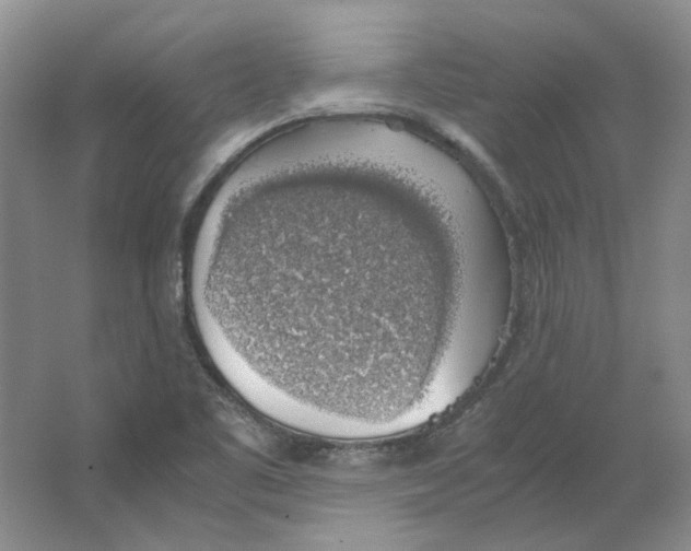 X0000063461461200602101702