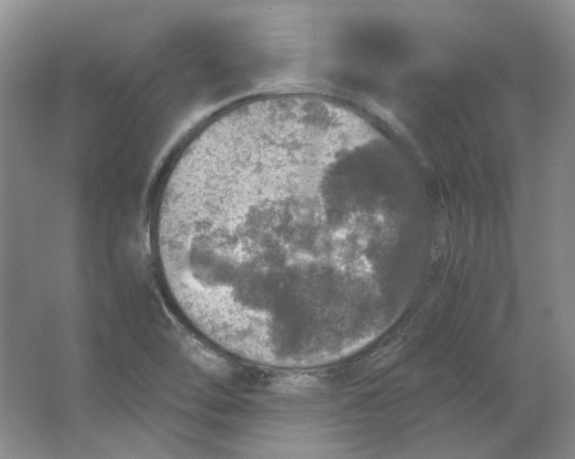 X0000063461462200602101702