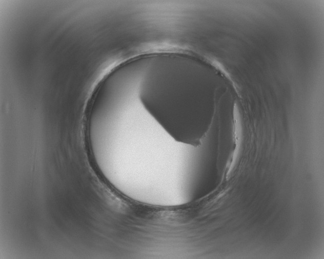 X0000063461463200602101702