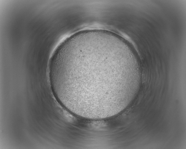 X0000063461464200602101702