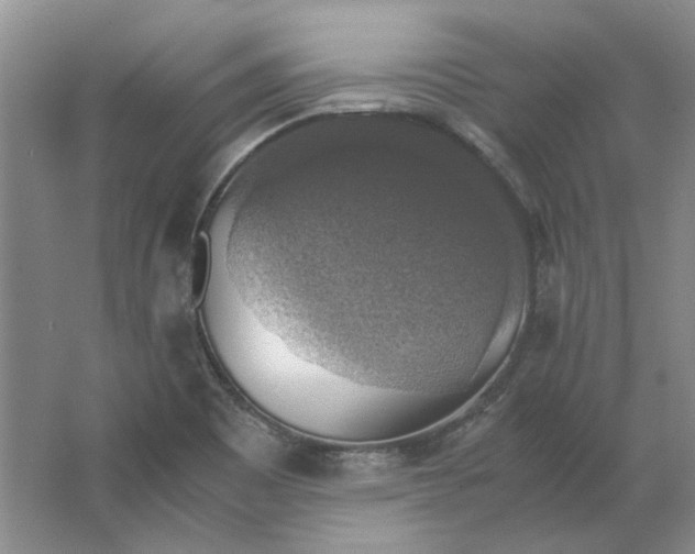 X0000063461465200602101702