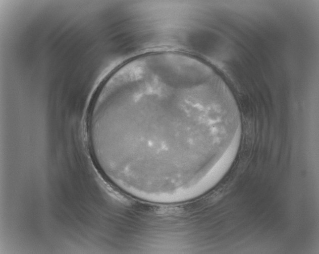 X0000063461466200602101702