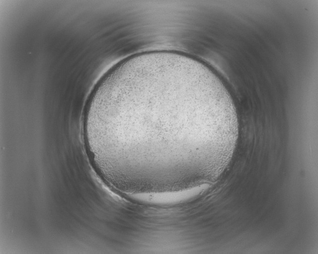 X0000063461468200602101702