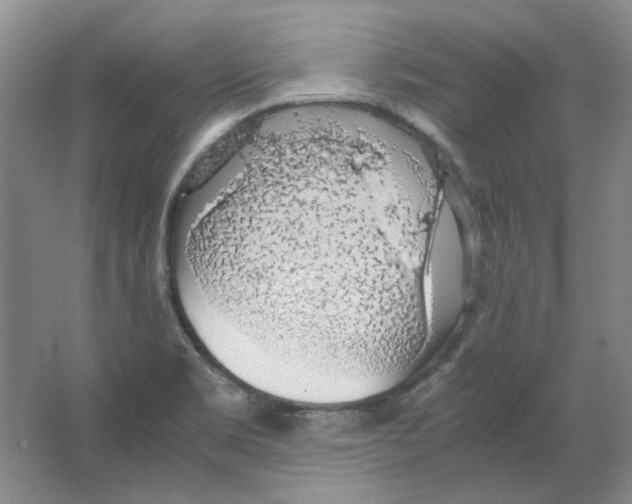 X0000063461469200602101702