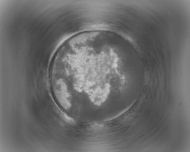 X0000063461470200602101701