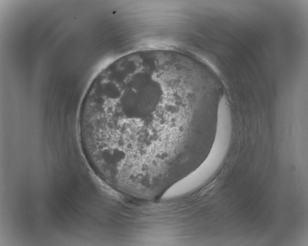 X0000063461471200602101701