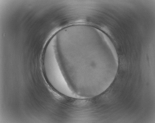 X0000063461474200602101701