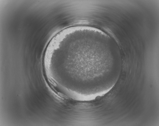 X0000063461475200602101701