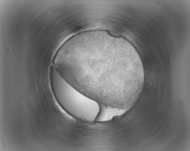 X0000063461476200602101701