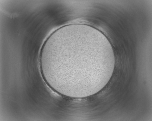 X0000063461478200602101701