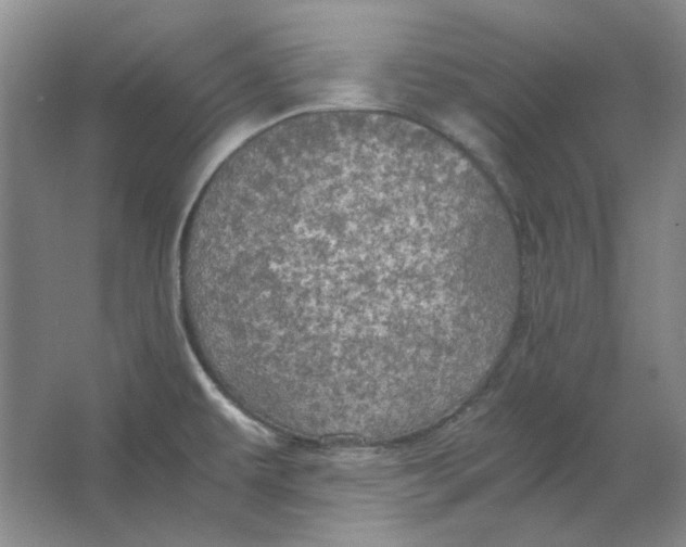 X0000063461479200602101701