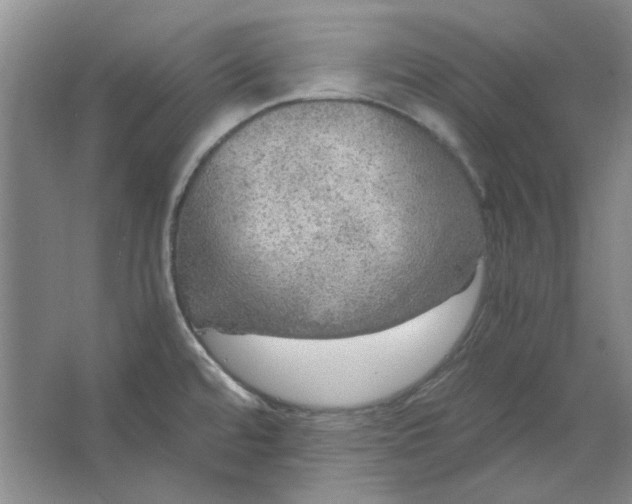 X0000063461480200602101701