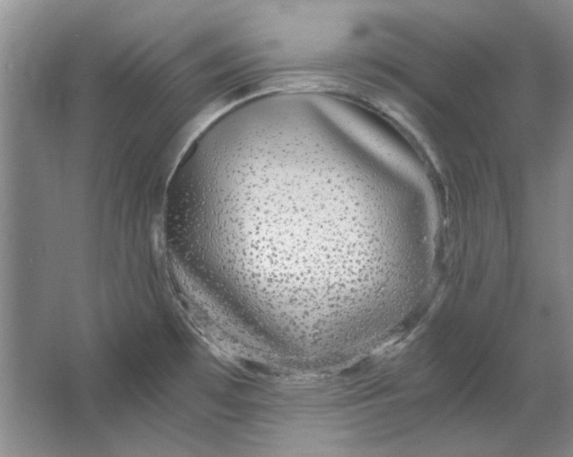 X0000063461481200602101701