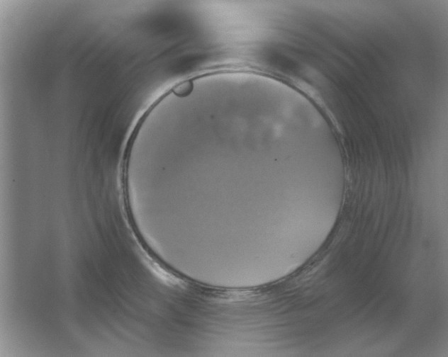 X0000063461482200602101701