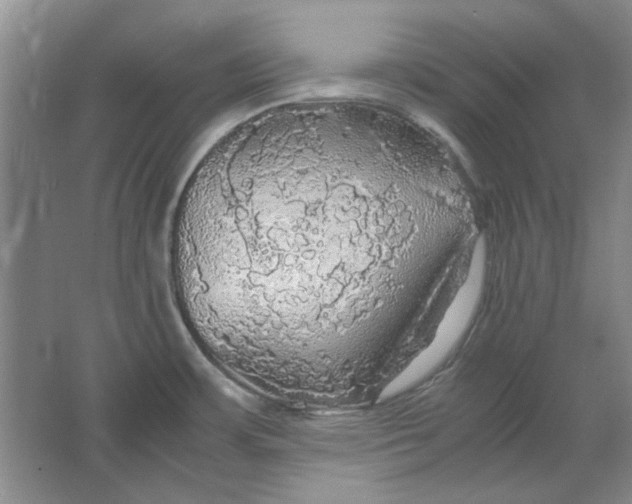 X0000063461483200602101701