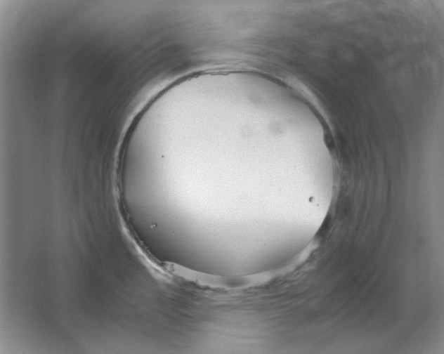 X0000063461485200602101701