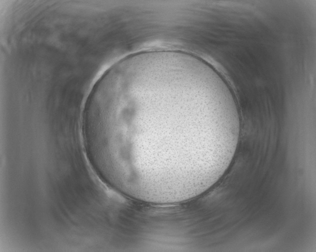 X0000063461486200602101701