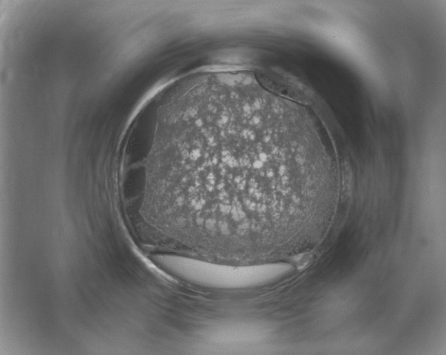 X0000063461487200602101701