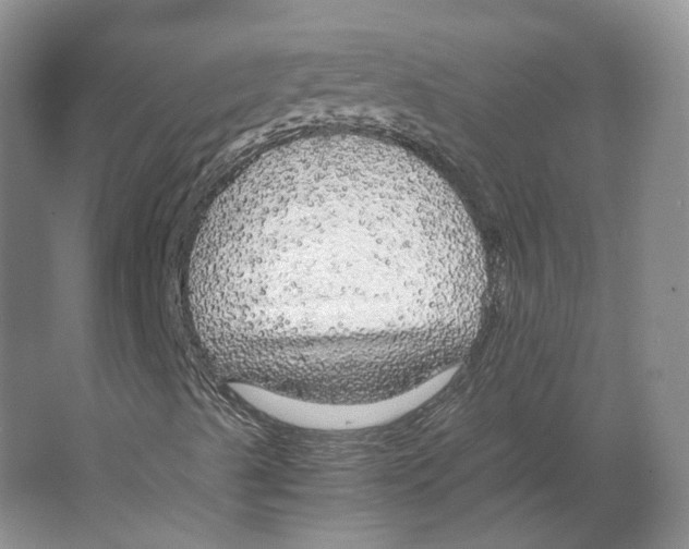 X0000063461489200602101700