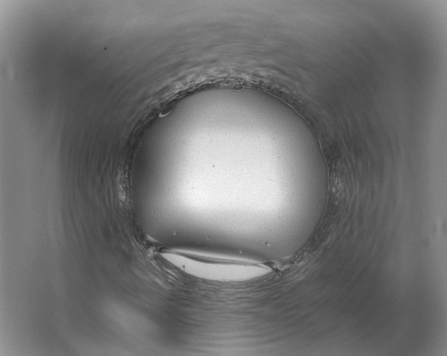 X0000063461490200602101700