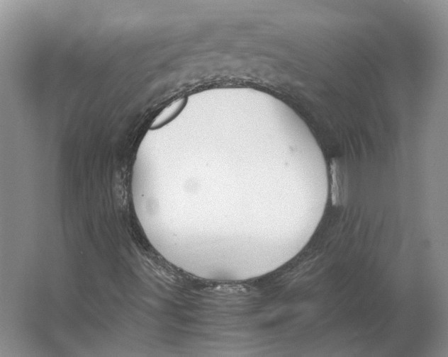 X0000063461491200602101700