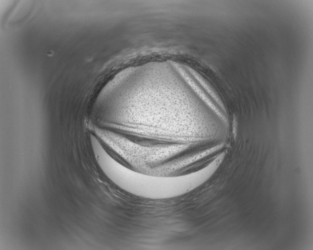 X0000063461492200602101700