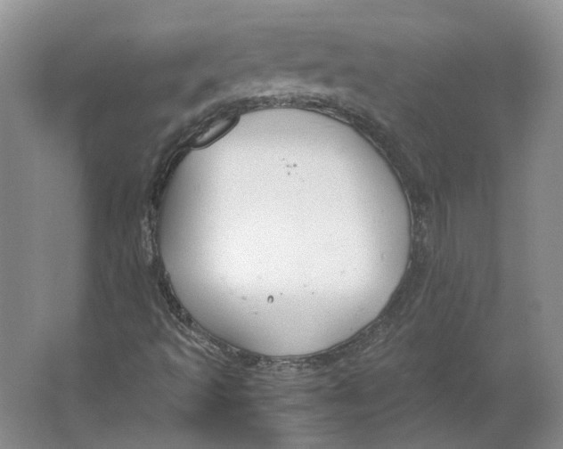 X0000063461493200602101700