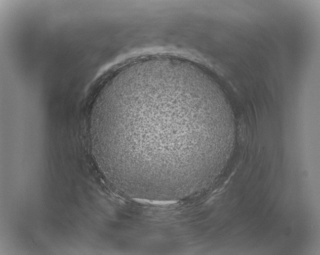 X0000063461494200602101700