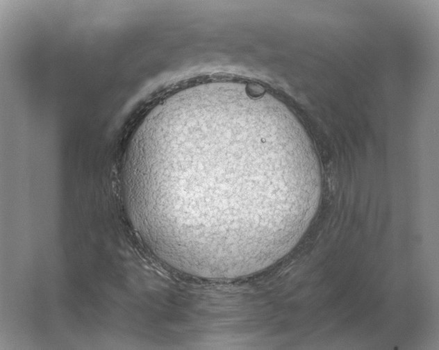 X0000063461495200602101700