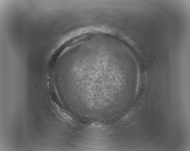 X0000063461496200602101700