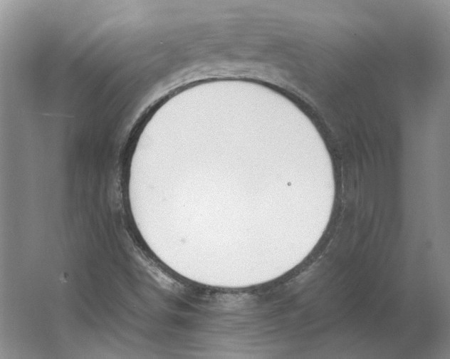 X0000063461498200602101701