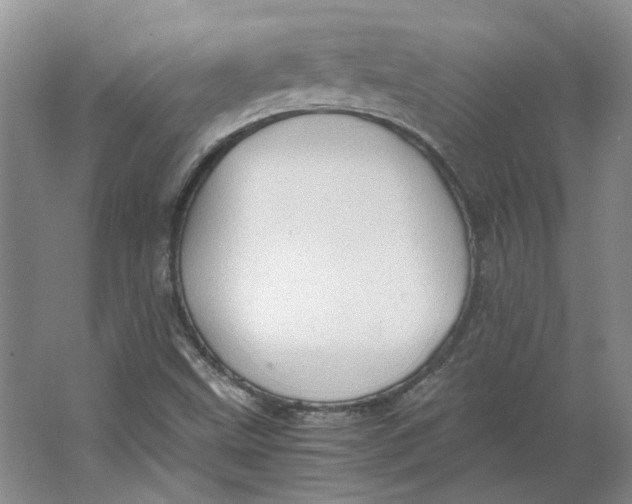 X0000063461499200602101701