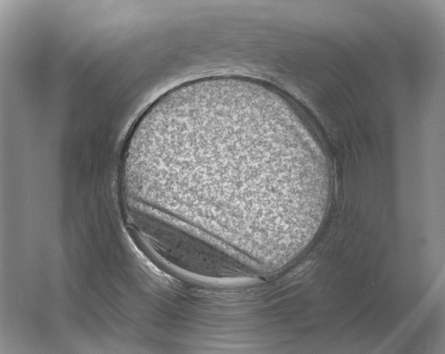 X0000063461500200602101701