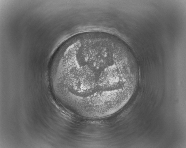 X0000063461501200602101701