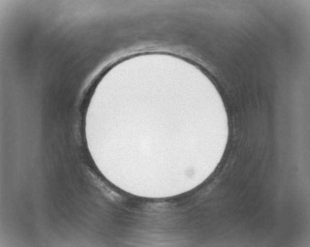 X0000063461502200602101701